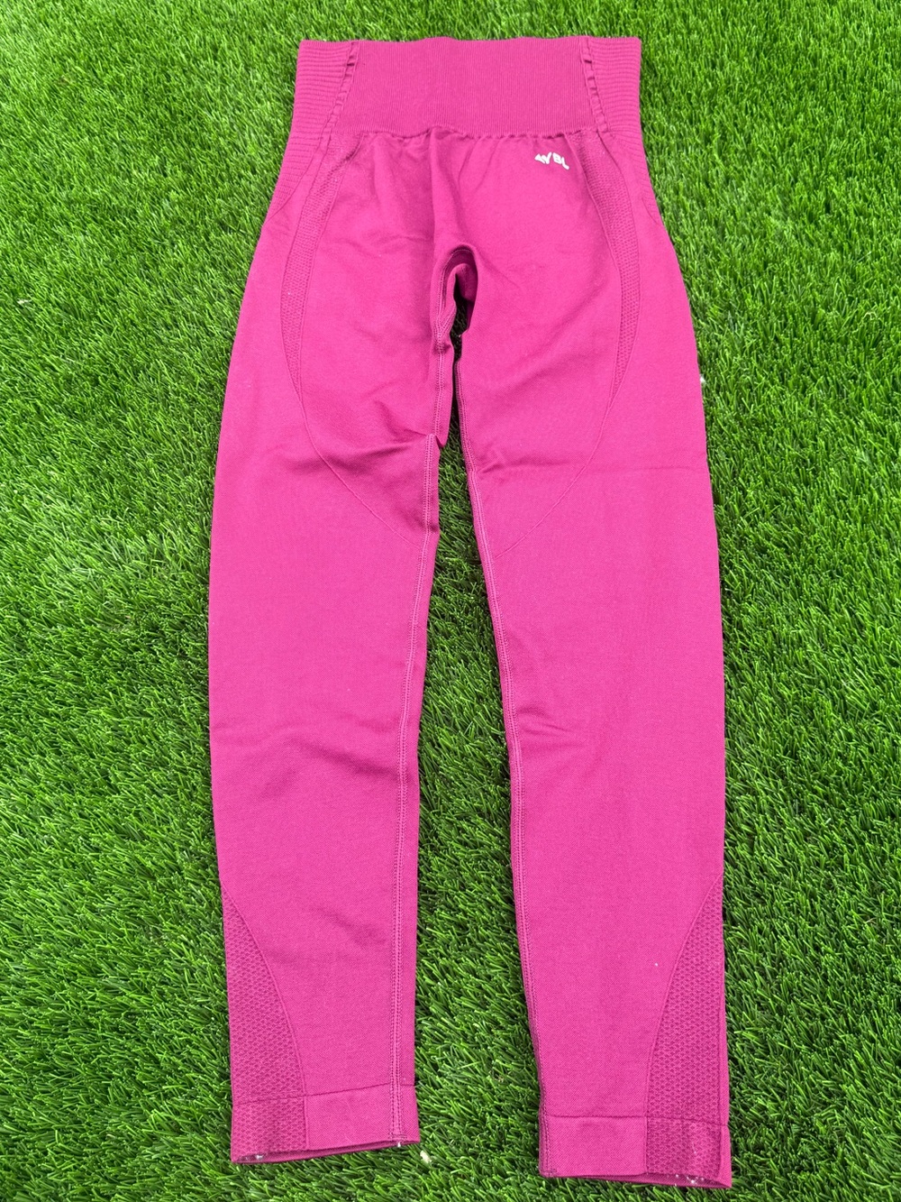 AYBL  Seamless Leggings in Magenta